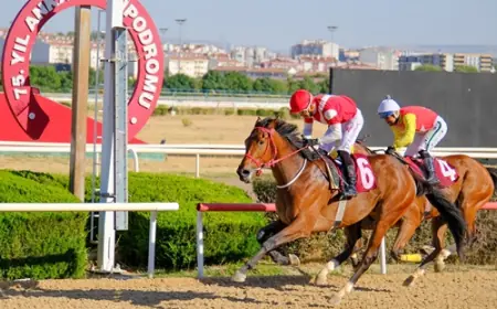 Ankara’da Şerife Bacı Koşusu’nun Galibi Tom Raider Oldu