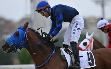Veliefendi'de Mohaç Koşusu'nun galibi Hükümlü oldu