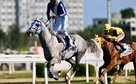 Özmen Bey Veliefendi Koşusu’nda Tarih Yazdı: Triple Crown Tamamlandı!