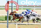 Serebral Palsi Farkındalık Koşusu’nda Zafer Bay Umut’un Oldu