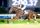 Byerley Turk Koşusu'nda Poetry In Motion'dan Pist Rekoruyla Görkemli Zafer