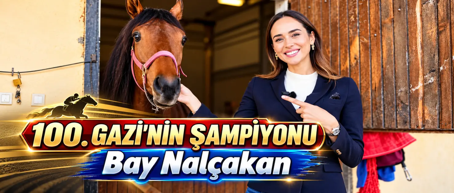 TAY TV
